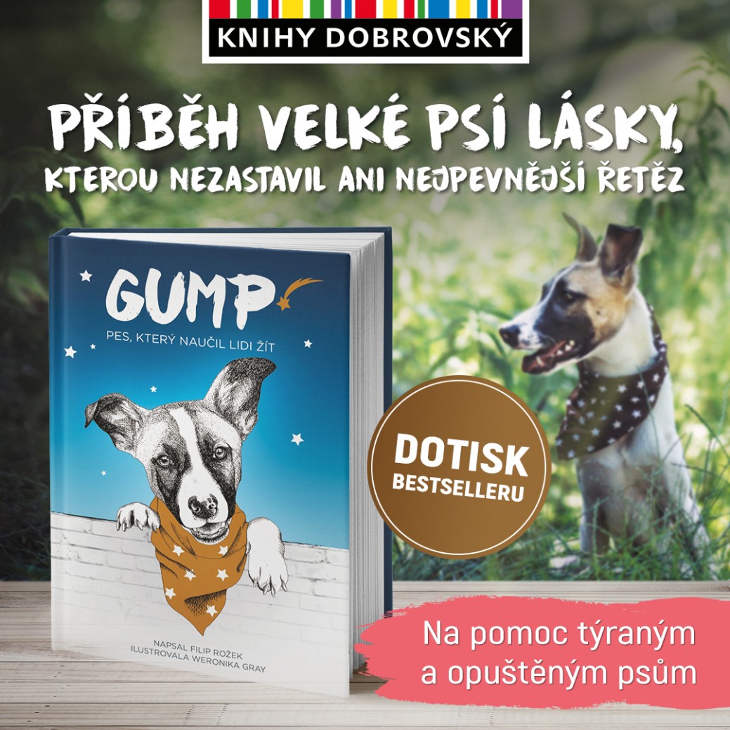 Gump v Knihy Dobrovský!