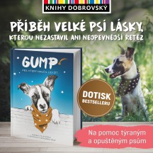 Gump v Knihy Dobrovský!