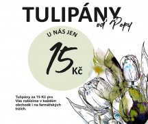 Akce na tulipány v Kytky od Pepy