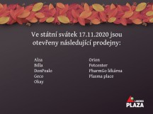 Státní svátek 17.11.2020
