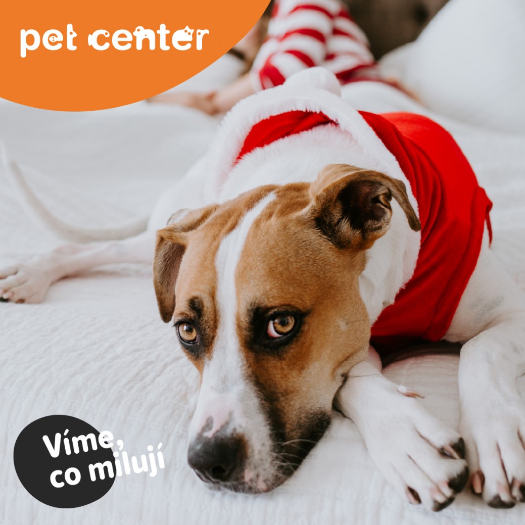 PetCenter