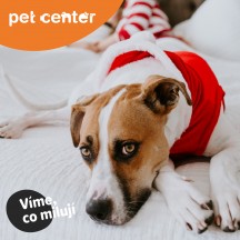 PetCenter